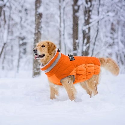 Side profile of large dog wearing blaze orange winter coat