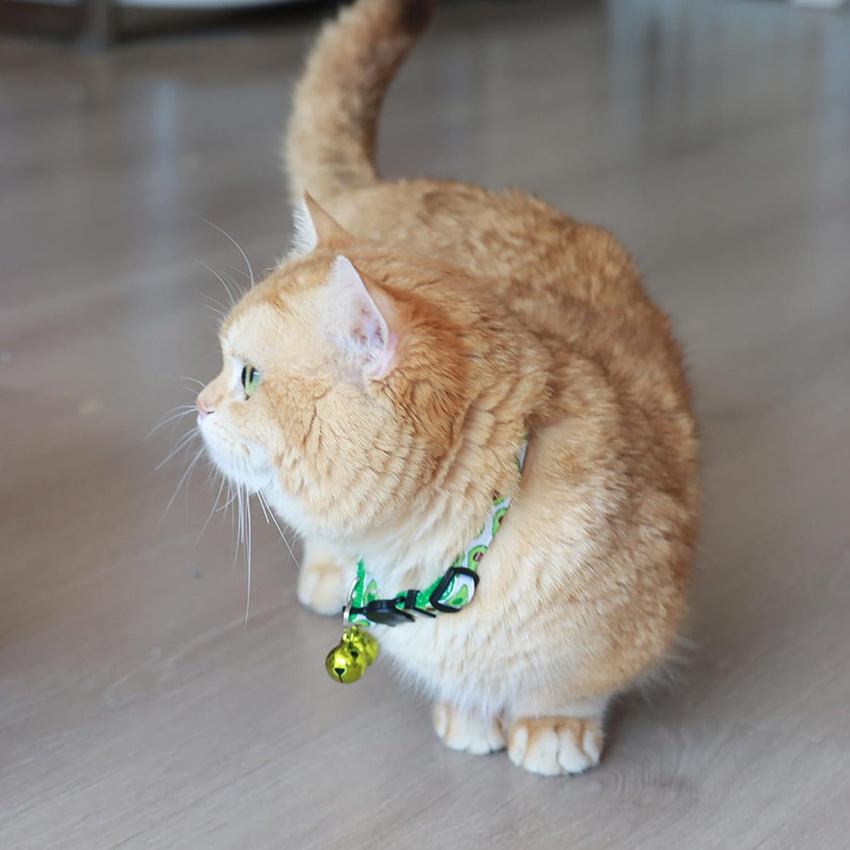 Pack of four loud sounding copper pet collar bells on a clean background