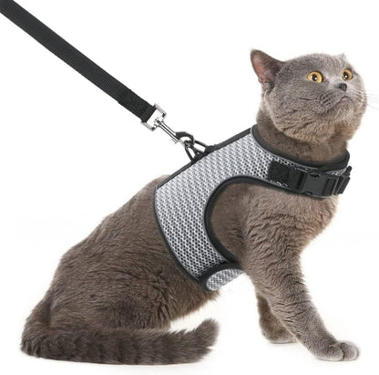 PUPTECK Soft Mesh Cat Vest Harness and Leash Set Puppy Padded Pet Harnesses Escape Proof for Cats Small Dogs (X-Large, Lake Blue) - Image 11
