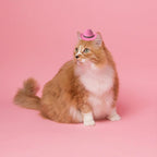 Side profile of pink cat cowboy hat with star detail