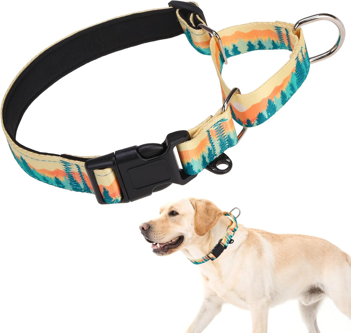 KOOLTAIL Martingale Collar for Dogs for Small Medium Large Dogs, Soft Padded Nylon No Pull Dog Collar with Buckle, Adjustable No Slip Heavy Duty Durable Puppy Training Collar for Boys Girls, Blue M - Image 11