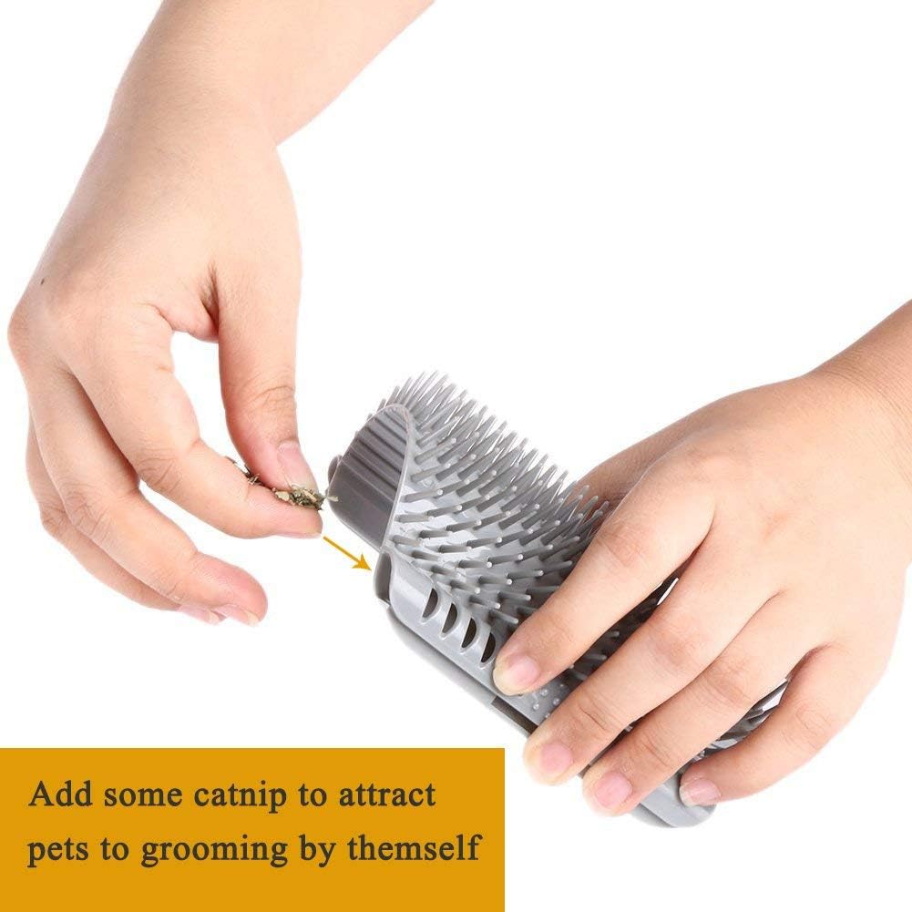 Grey cat self grooming massage comb removing loose hair from long fur kitten