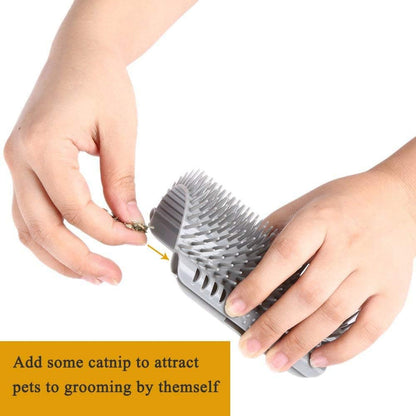 Grey cat self grooming massage comb removing loose hair from long fur kitten
