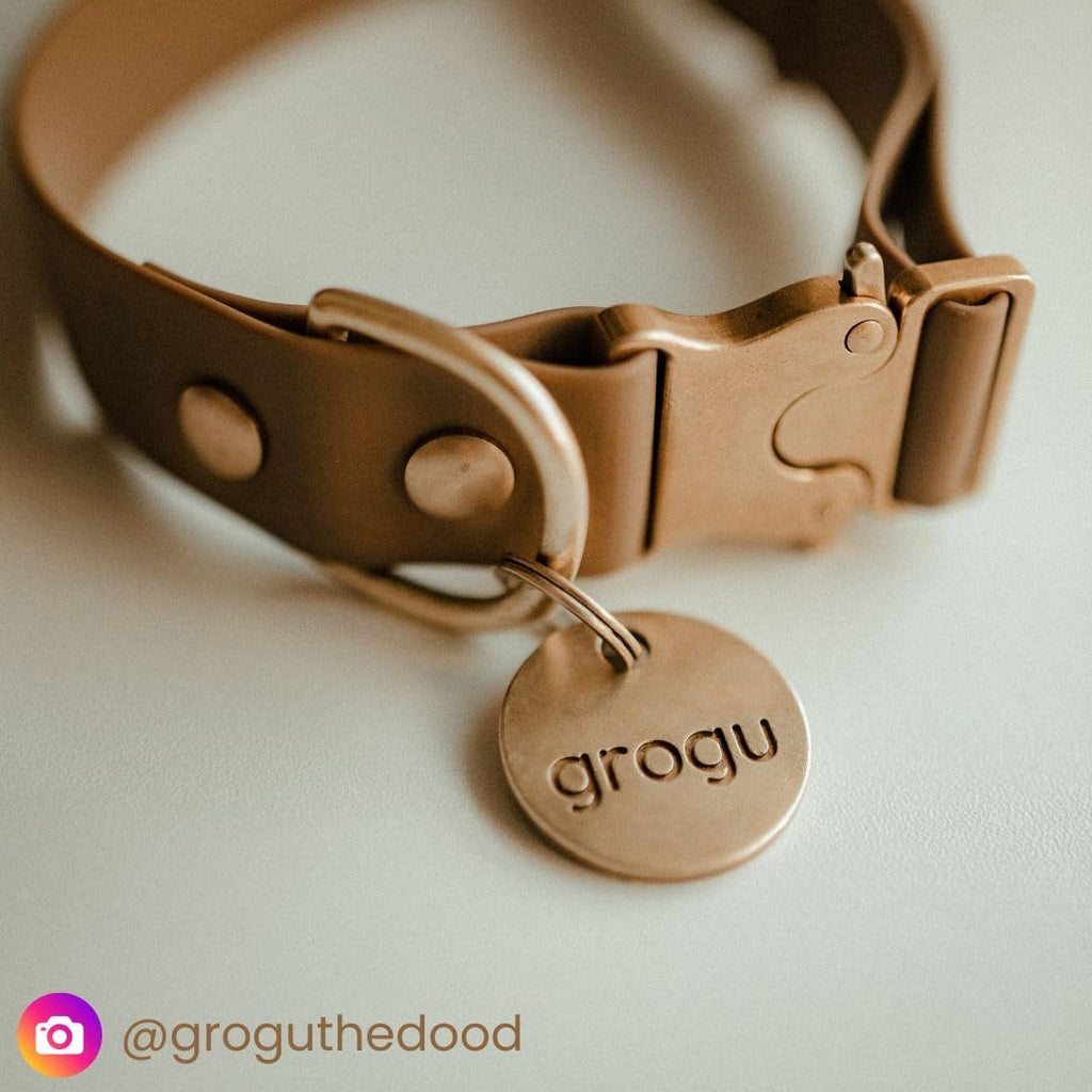 Premium solid brass cat and dog name tag for collar attachment