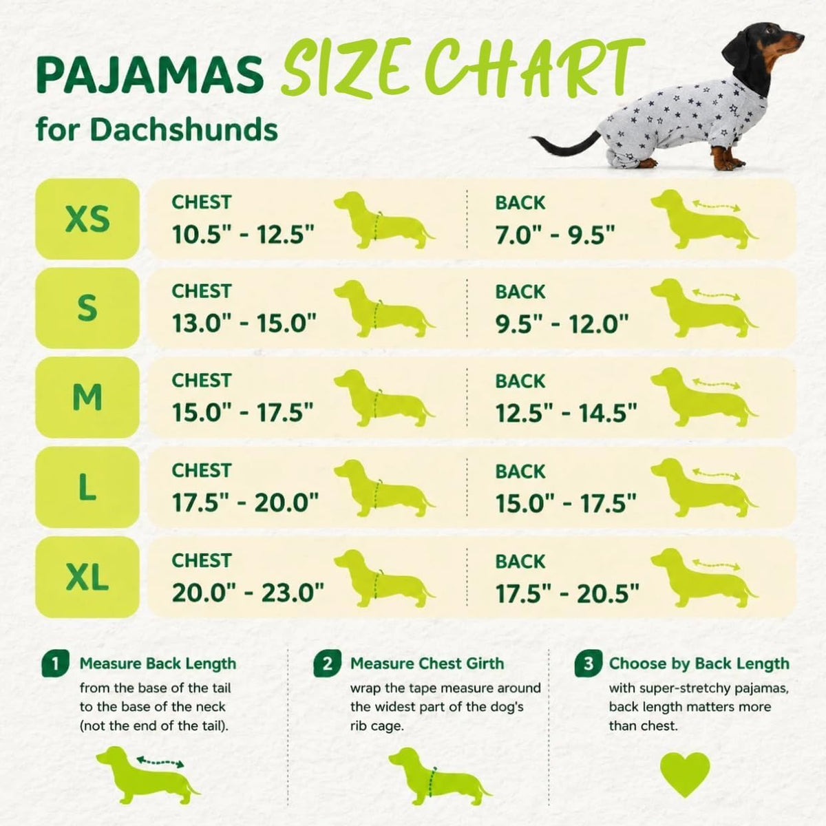T'CHAQUE dachshund clothes showcasing the protective high-coverage belly and potty-friendly design.