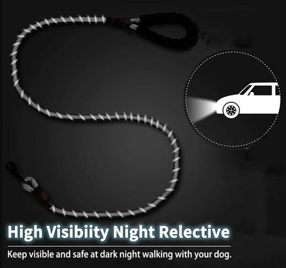 Complete product set of the NEOGULY three dog leash layout showcasing all removable components.