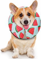 MIDOG Inflatable Dog Cone, Soft Donut Recovery Collar Alternative After Surgery to Help Prevent Licking, Comfy E Collar with Neck Pillow Design, Grey, XL - Image 13
