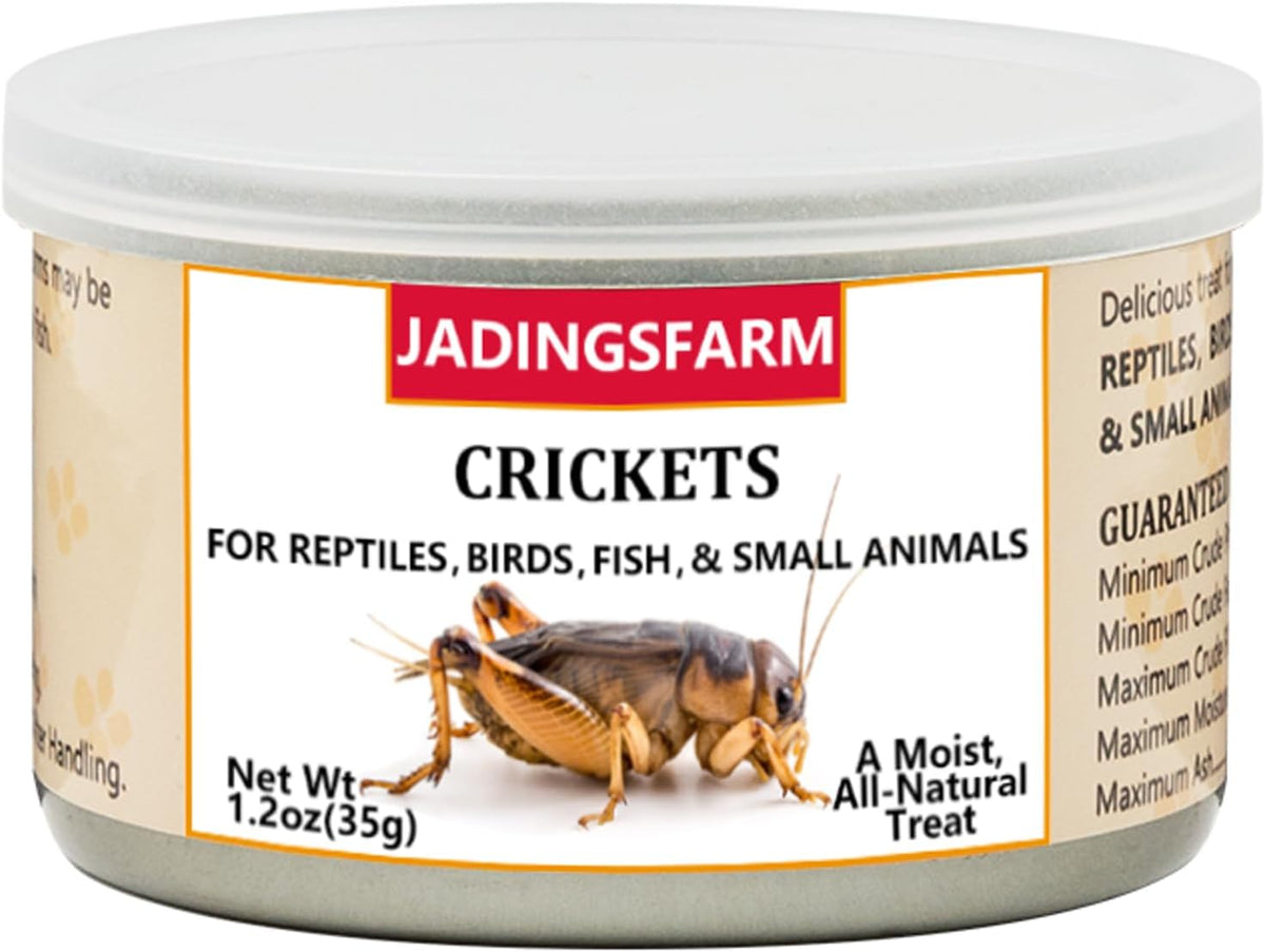 Jadingsfarm six pack crickets nutritional insect treat packaging.