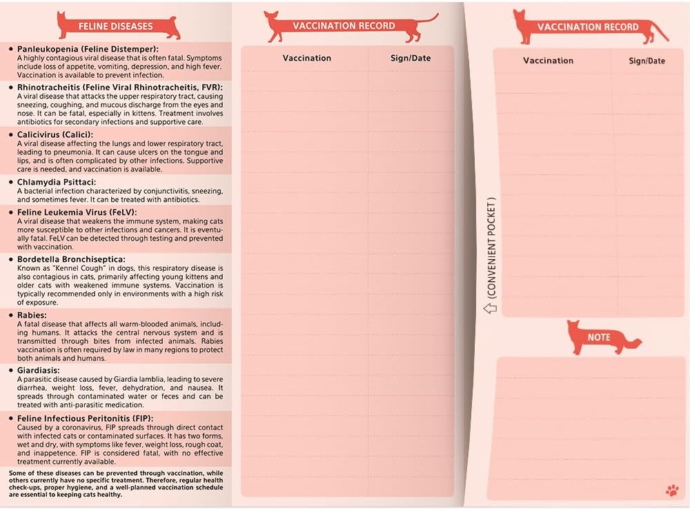 Anzon Mories heavy duty pet cardstock paper under a pen showing smear resistance.