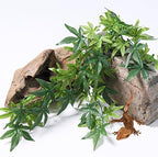 SLSON silk plant for bearded dragon and gecko habitats