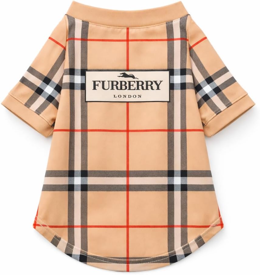 Designer style puppy shirt for French Bulldogs