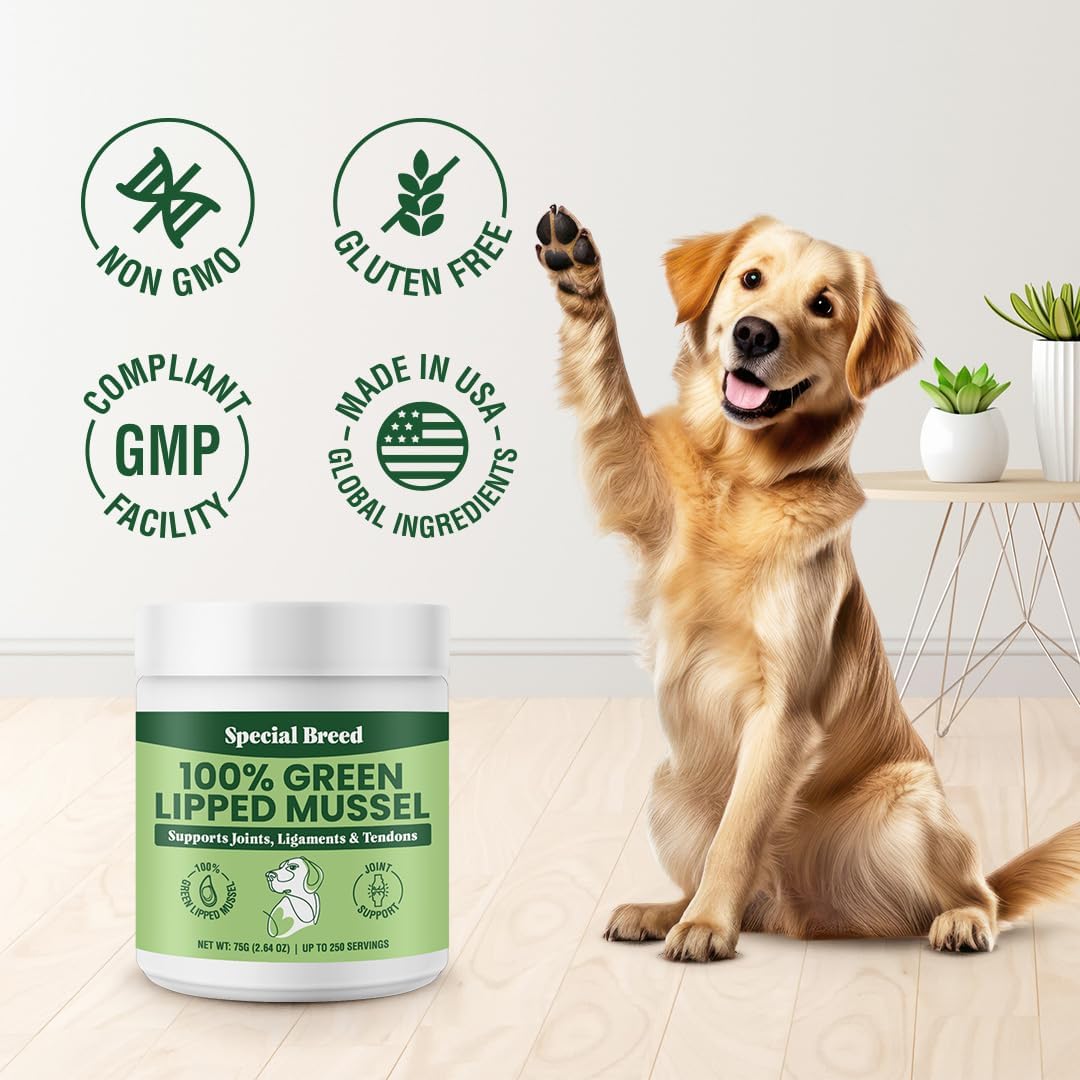 Premium hip and joint mobility powder for aging dogs and cats