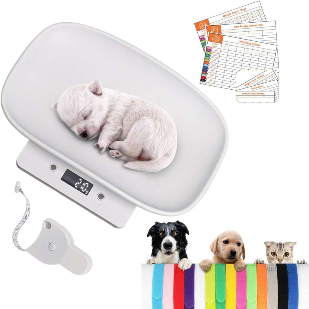 LYTDMSKY digital pet scale front view showing the clear backlit screen.