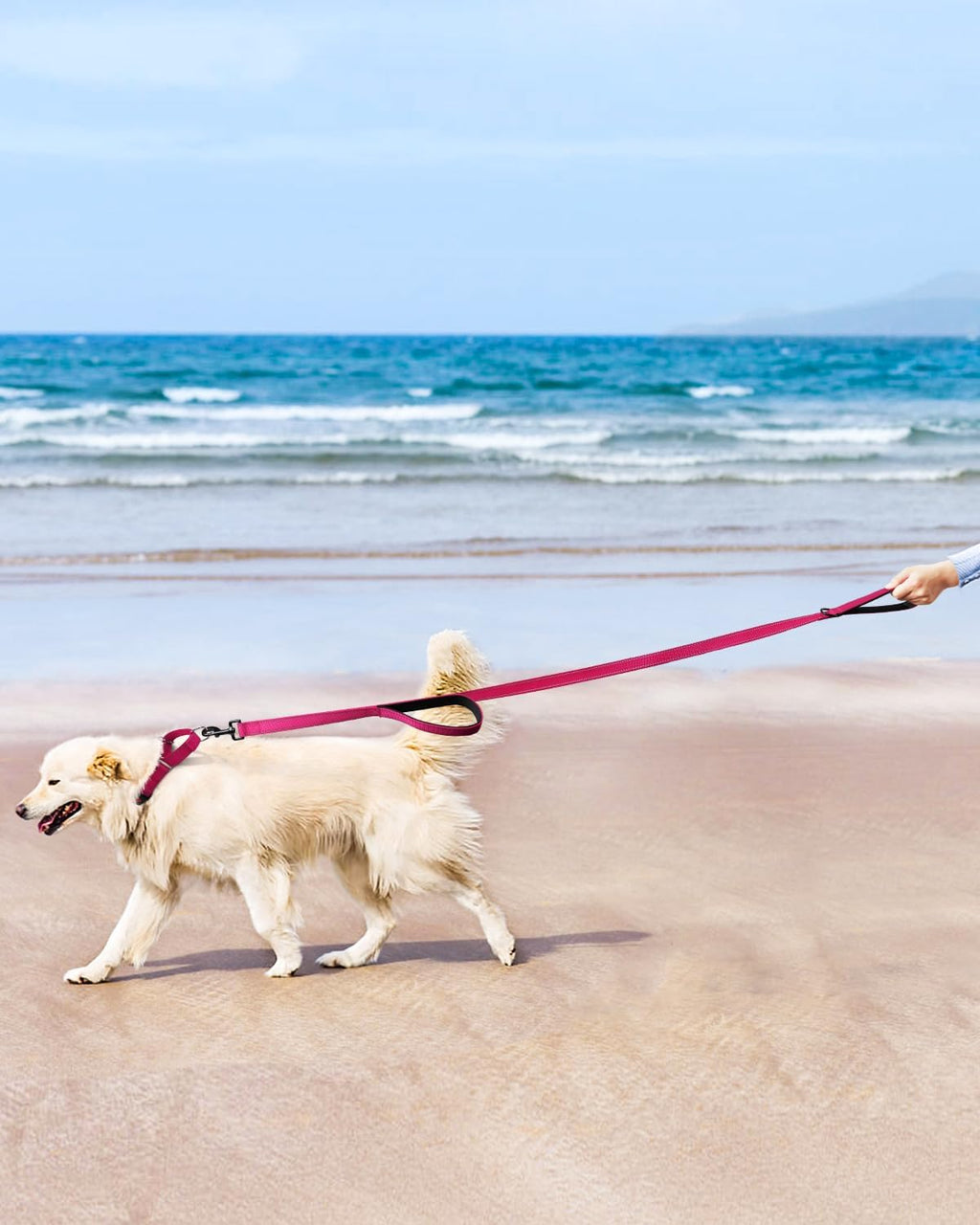FunTags heavy duty nylon dog leash with rustproof metal hardware attachment