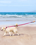FunTags heavy duty nylon dog leash with rustproof metal hardware attachment