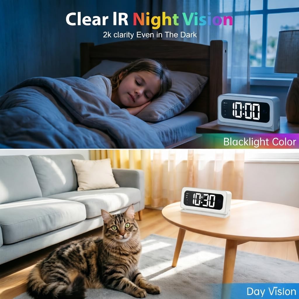 Pet nanny camera monitoring living room area
