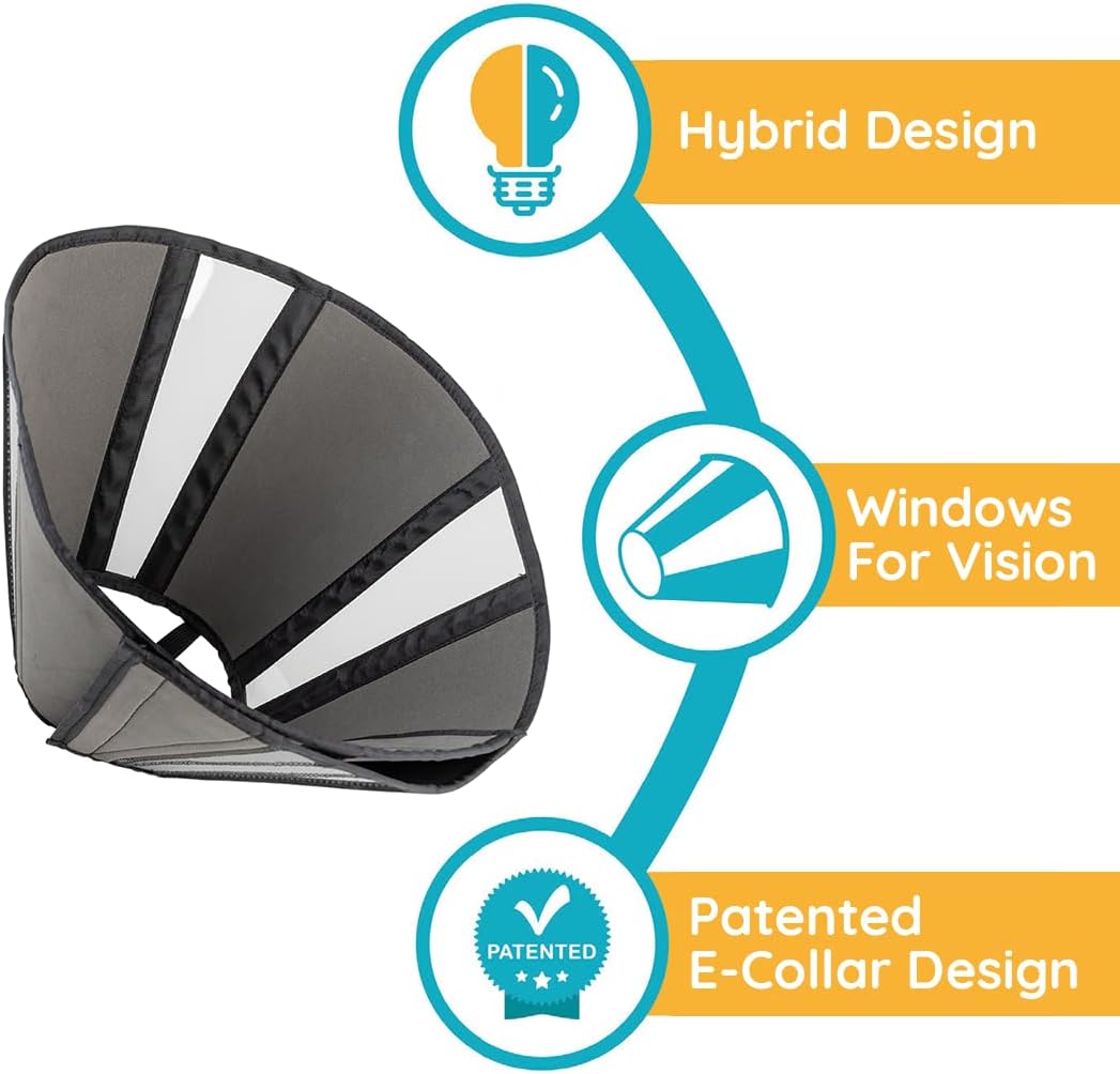 ZenCone protective collar showing integrated inner loops for everyday collar attachment