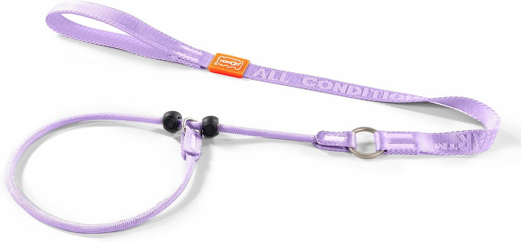 HowGo Slip Lead Dog Leash with Padded Handles | Lightweight Dog Training Leash with 360 degreesSwivel Anti-Tangle | Heavy-Duty Lead and Collar for Large Medium and Small, No-Pull Walking (Black, 5.5FT) - Image 15