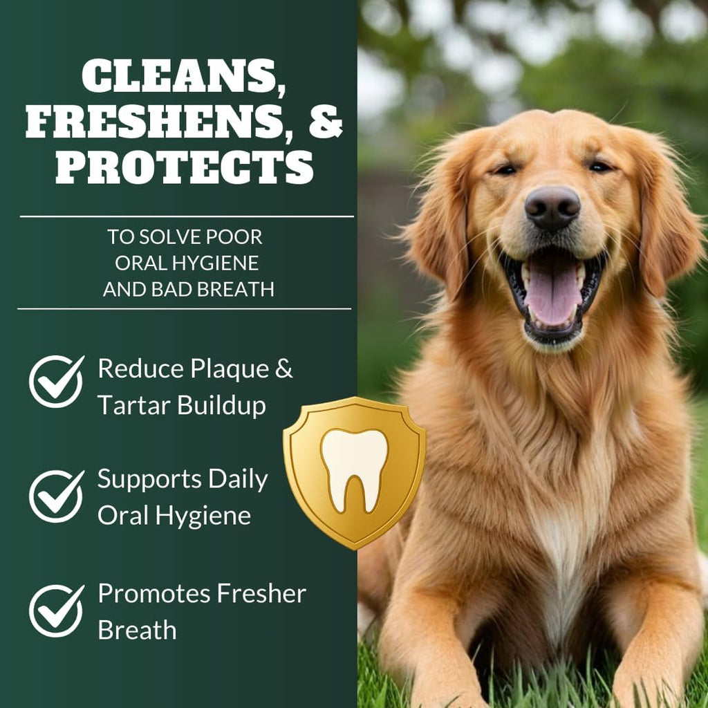 DRMOIS dog teeth cleaning powder packaging showing natural seaweed ingredients