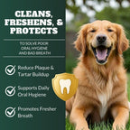 DRMOIS dog teeth cleaning powder packaging showing natural seaweed ingredients