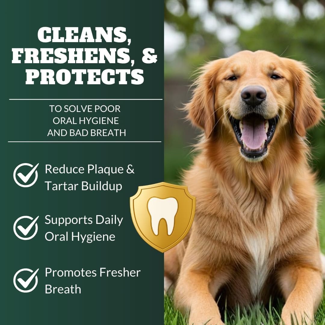 DRMOIS dog teeth cleaning powder packaging showing natural seaweed ingredients