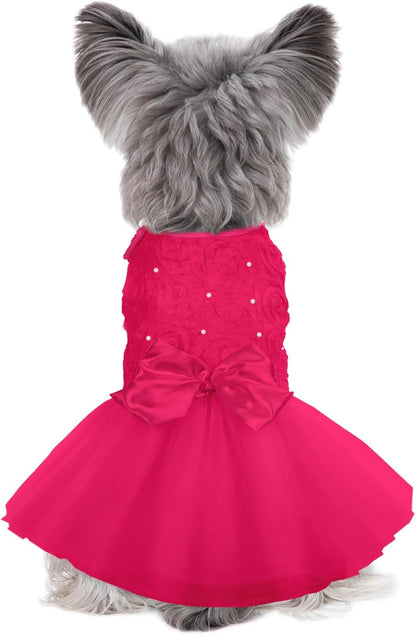 Kuoser imported premium pet apparel official packaging showcase with size variations