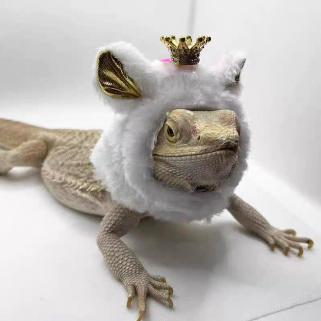KUNBIUH reptile apparel showcasing machine washable fabric and sturdy crown stitching.