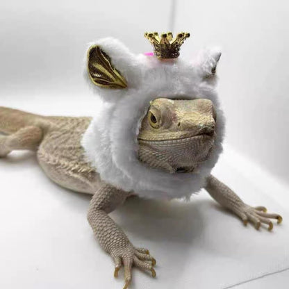 KUNBIUH reptile apparel showcasing machine washable fabric and sturdy crown stitching.