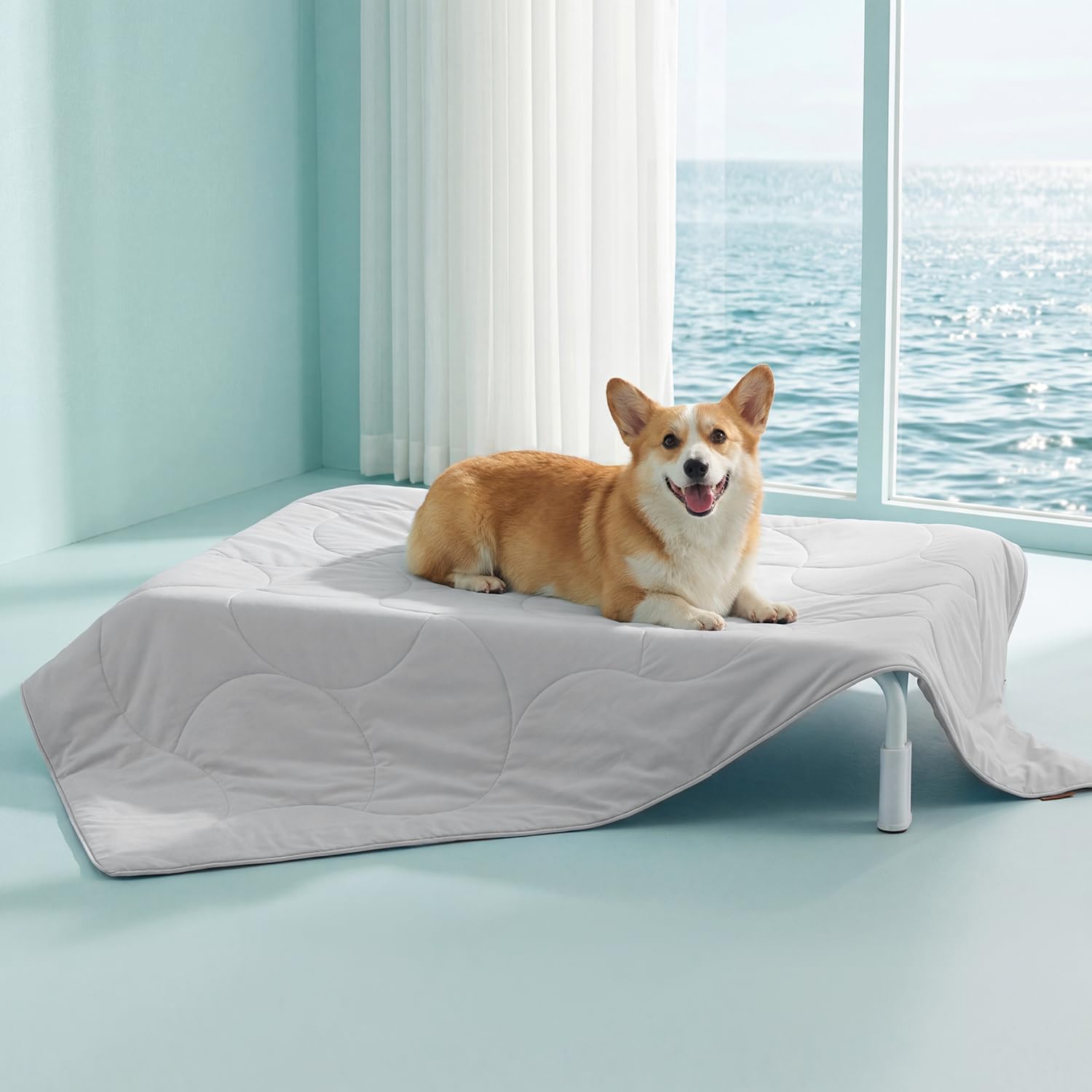 Zomisia premium cooling blanket for dogs front view laid out on a living room floor
