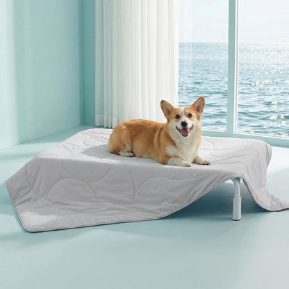 Zomisia premium cooling blanket for dogs front view laid out on a living room floor