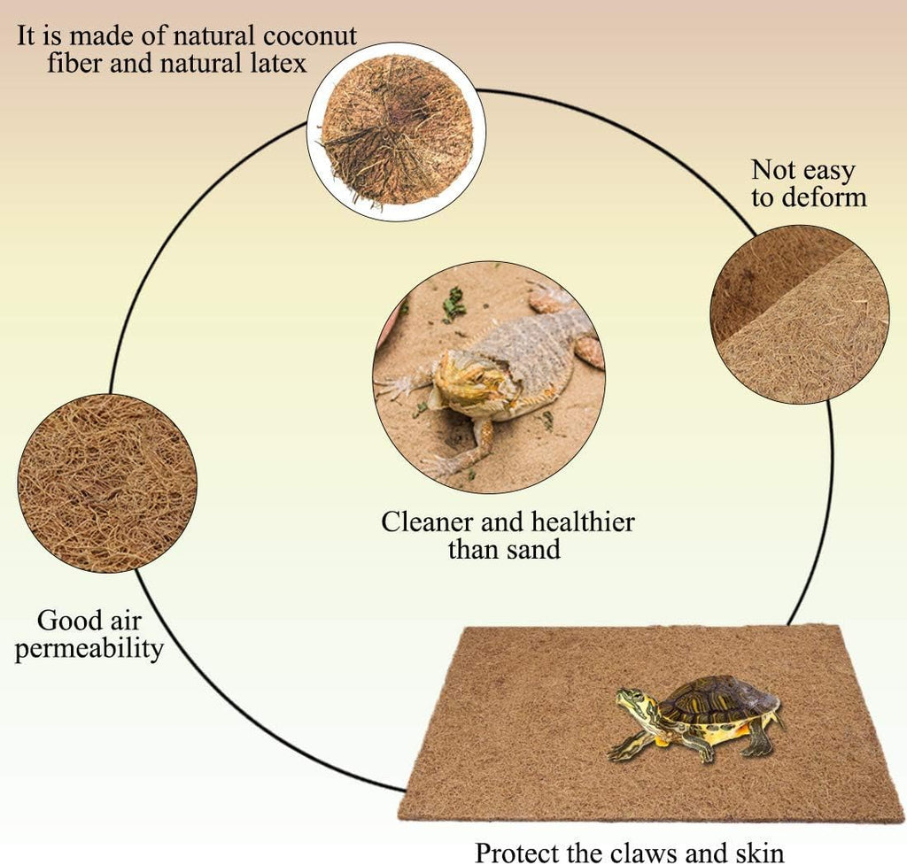 Packaging and rolled dimensions of Hamiledyi reptile carpet.