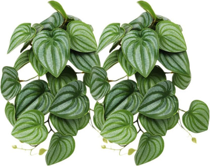 2Pack Reptile Fake Plants for Terrarium, Snake Tank Accessories, Habitat Decor Artificial Hanging Plants with Suction Cup - Fake Monstera - Image 11