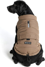 Spark Paws dog apparel in size small laid flat showing full premium construction