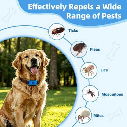 Waterproof natural flea and tick dog tag set