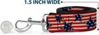 Brand tagged packaging and official licensing details for the Buckle-Down pet accessory
