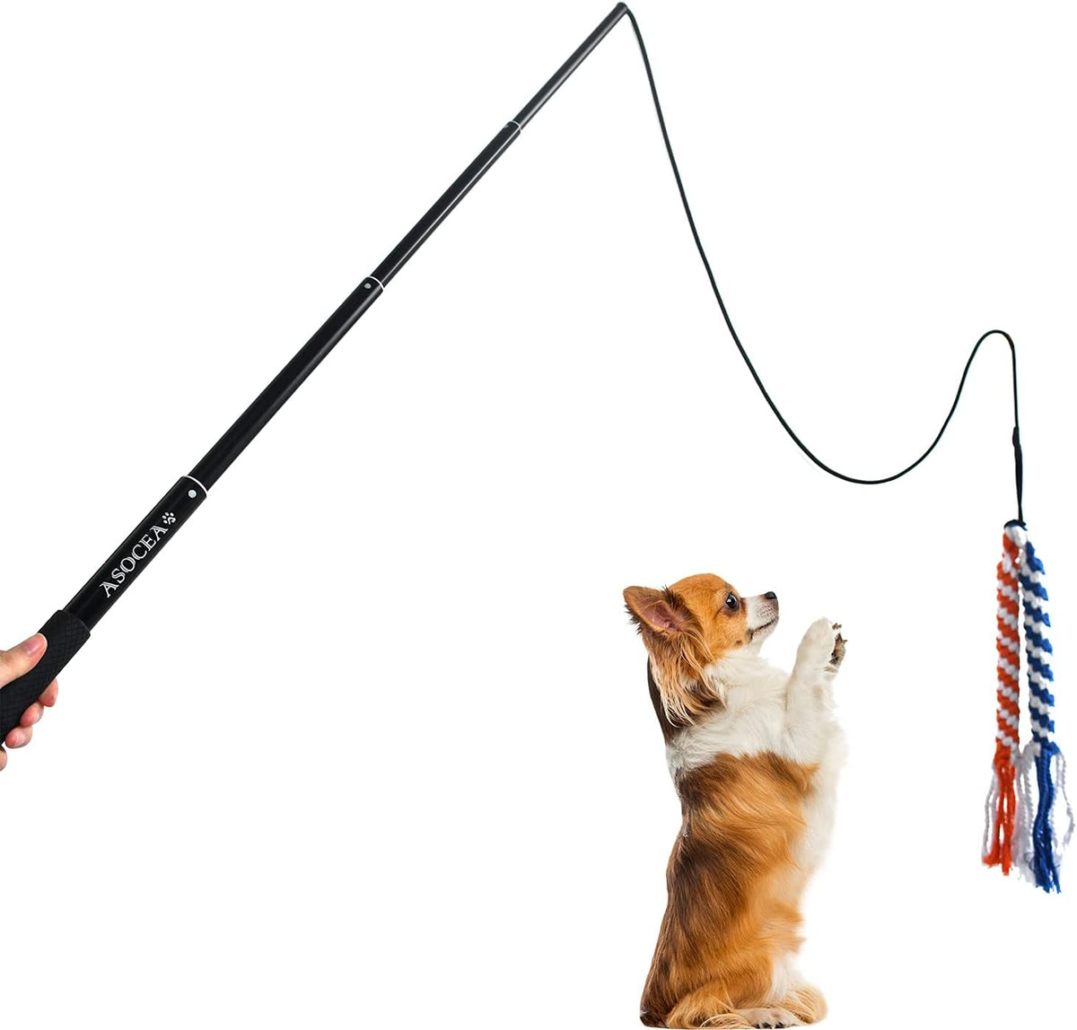 ASOCEA telescopic dog teaser wand packed compactly for easy travel and outdoor pet exercise