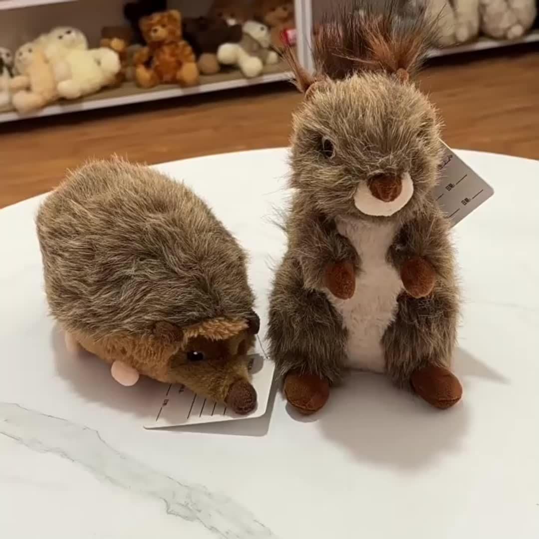 Accio cartoon style squirrel stuffed animal with squeaker for dog boredom relief