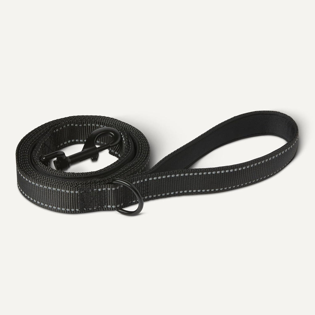 Amazon Basics heavy duty dog leash attached to a collar via the easy snap metal hook