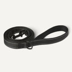 Amazon Basics heavy duty dog leash attached to a collar via the easy snap metal hook