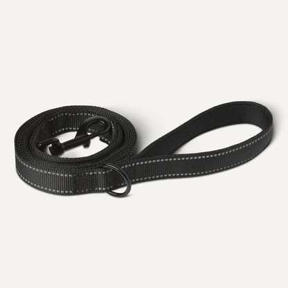 Amazon Basics heavy duty dog leash attached to a collar via the easy snap metal hook