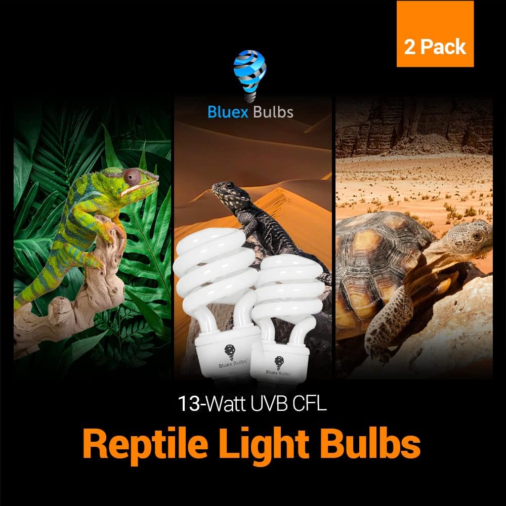Tortoise habitat setup showing proper 15 to 30 cm distance from the UV bulb.