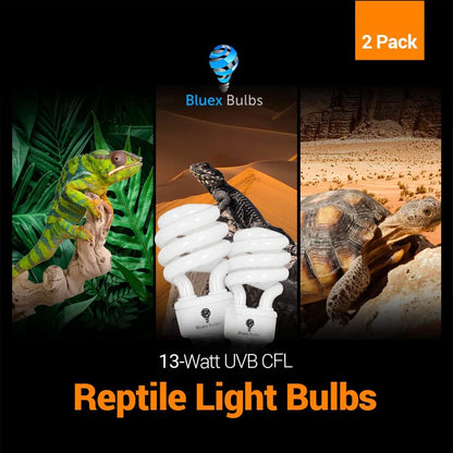 Tortoise habitat setup showing proper 15 to 30 cm distance from the UV bulb.