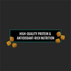 Purina EN Gastroenteric twenty five pound bag premium imported USA dog food