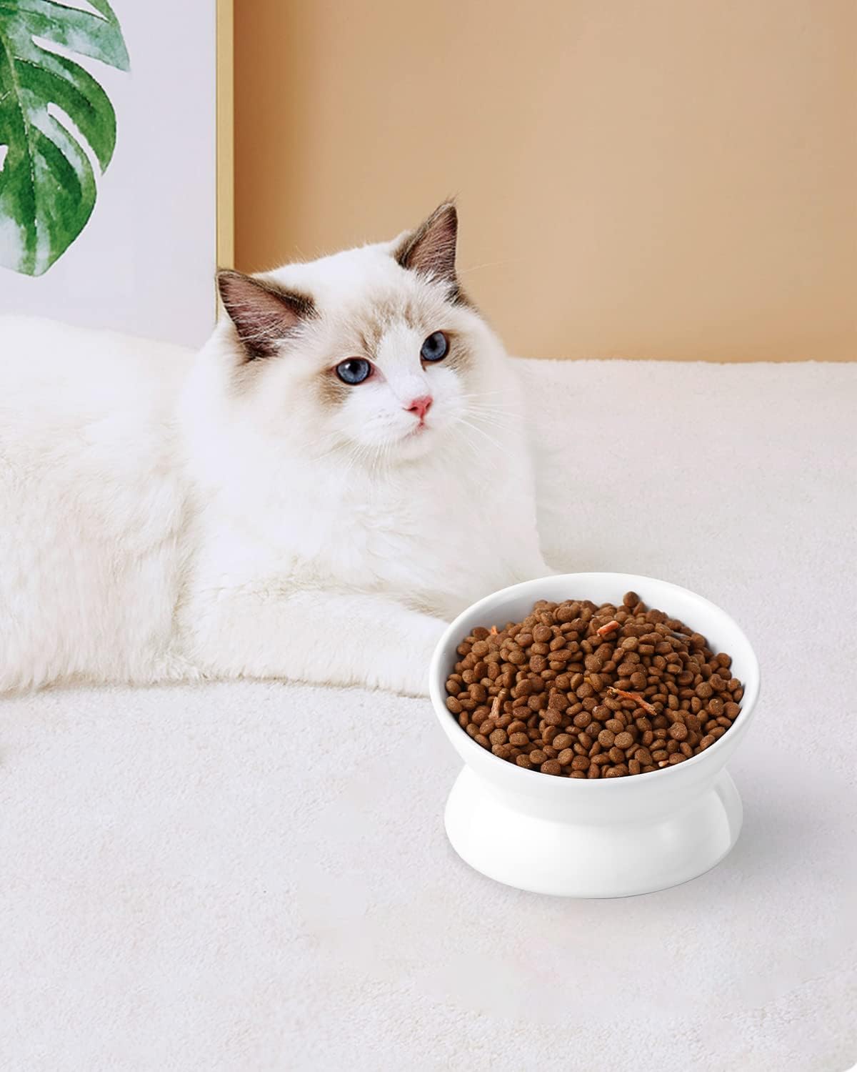 LoeJan elevated pet food bowl packaged