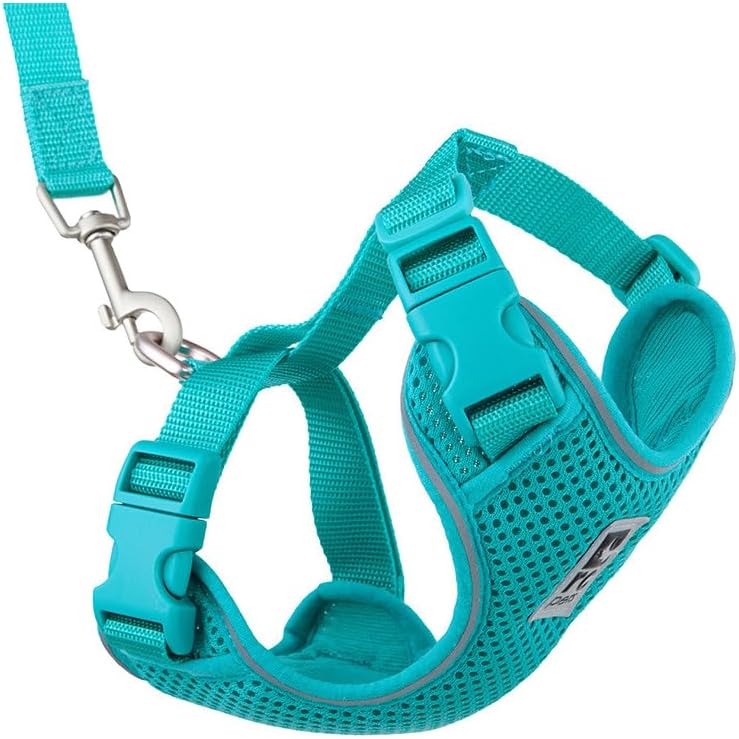 RC Pets Adventure Kitty Cat Harness | Adjustable Airmesh Vest with D-Ring and 6ft Leash for Walking and Travel | Marigold, Medium - Image 15