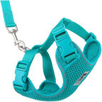 RC Pets Adventure Kitty Cat Harness | Adjustable Airmesh Vest with D-Ring and 6ft Leash for Walking and Travel | Marigold, Medium - Image 15