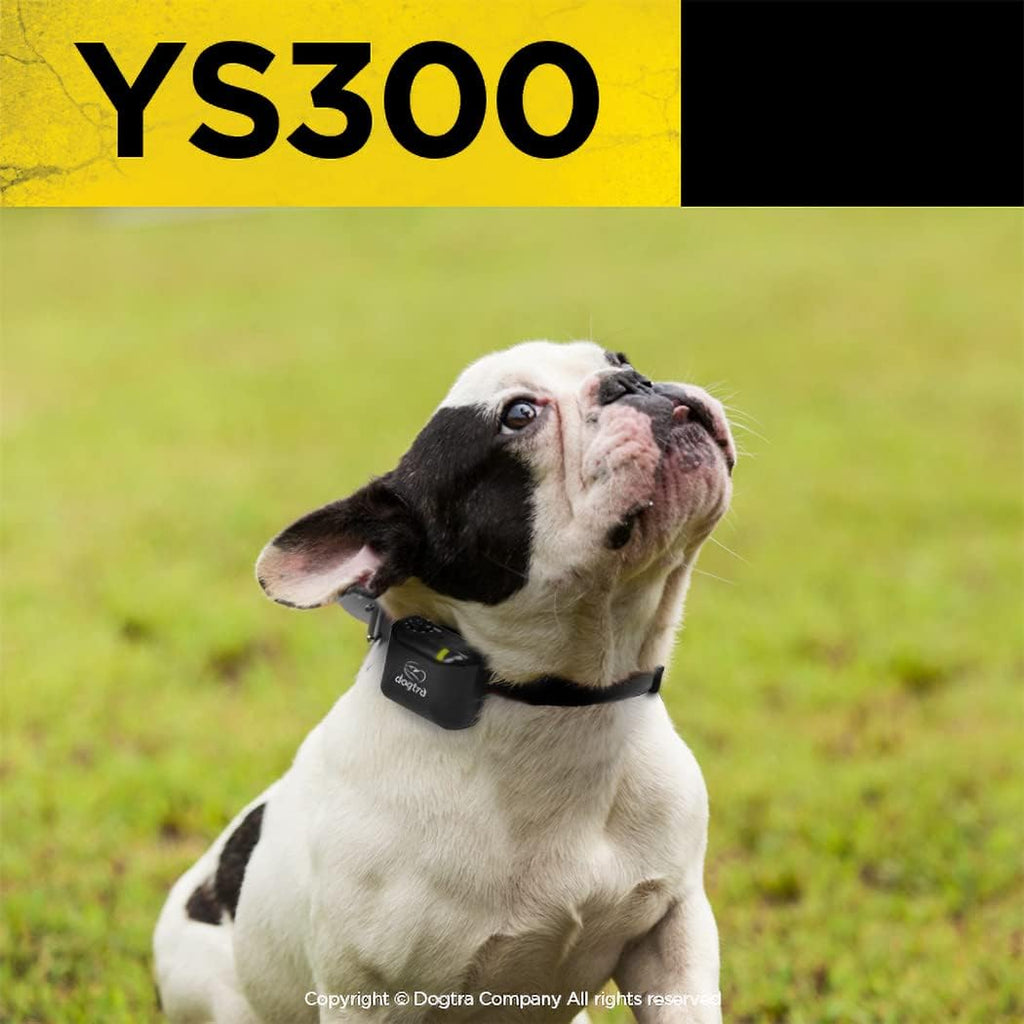 Dogtra YS300 bark collar adjustable strap detail