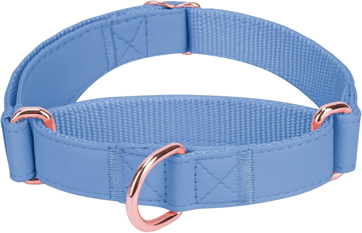 AaufiLux authentic USA imported heavy duty dog training collar