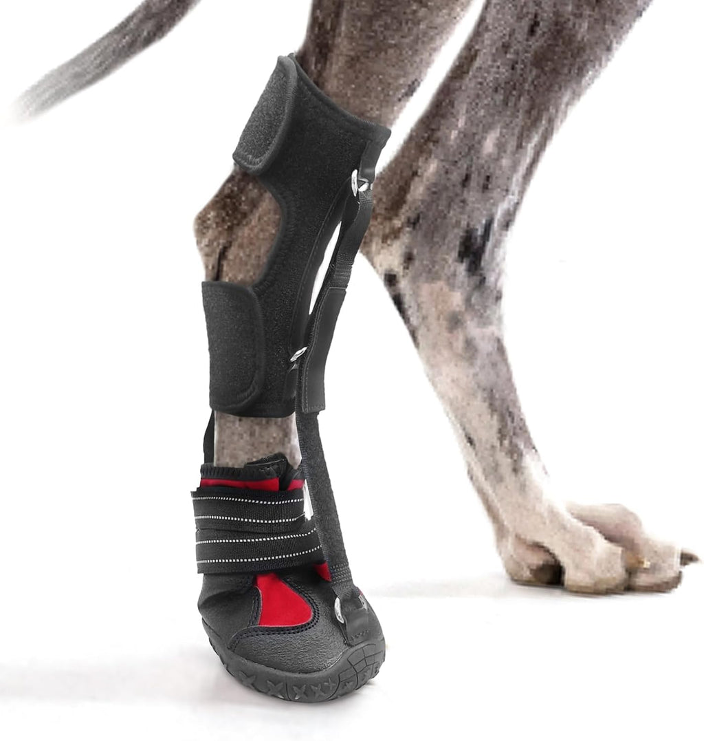 Strap-On Drop Foot Brace (No Knuckling Boot Brace) for Dogs- Corrective Dog Shoes to Safely Lift Toes for Foot Issues, Arthritis, and improving Walking gait in Dogs,Patent Pending(M) - Image 11