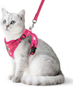 PUPTECK authentic imported pet supplies secure kitten vest back view